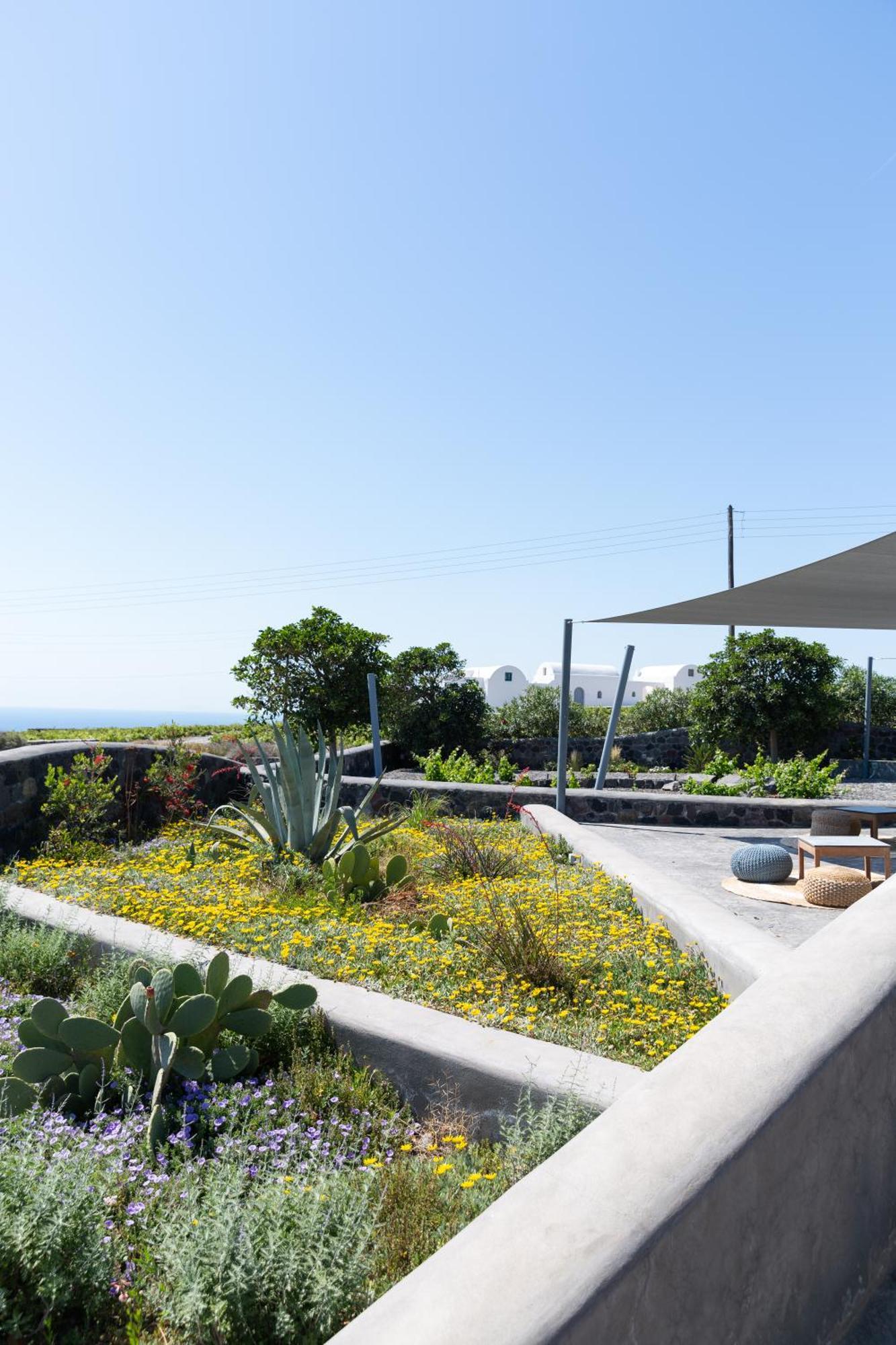 Soil Of Sun Luxury Villas Мегалохори Екстериор снимка