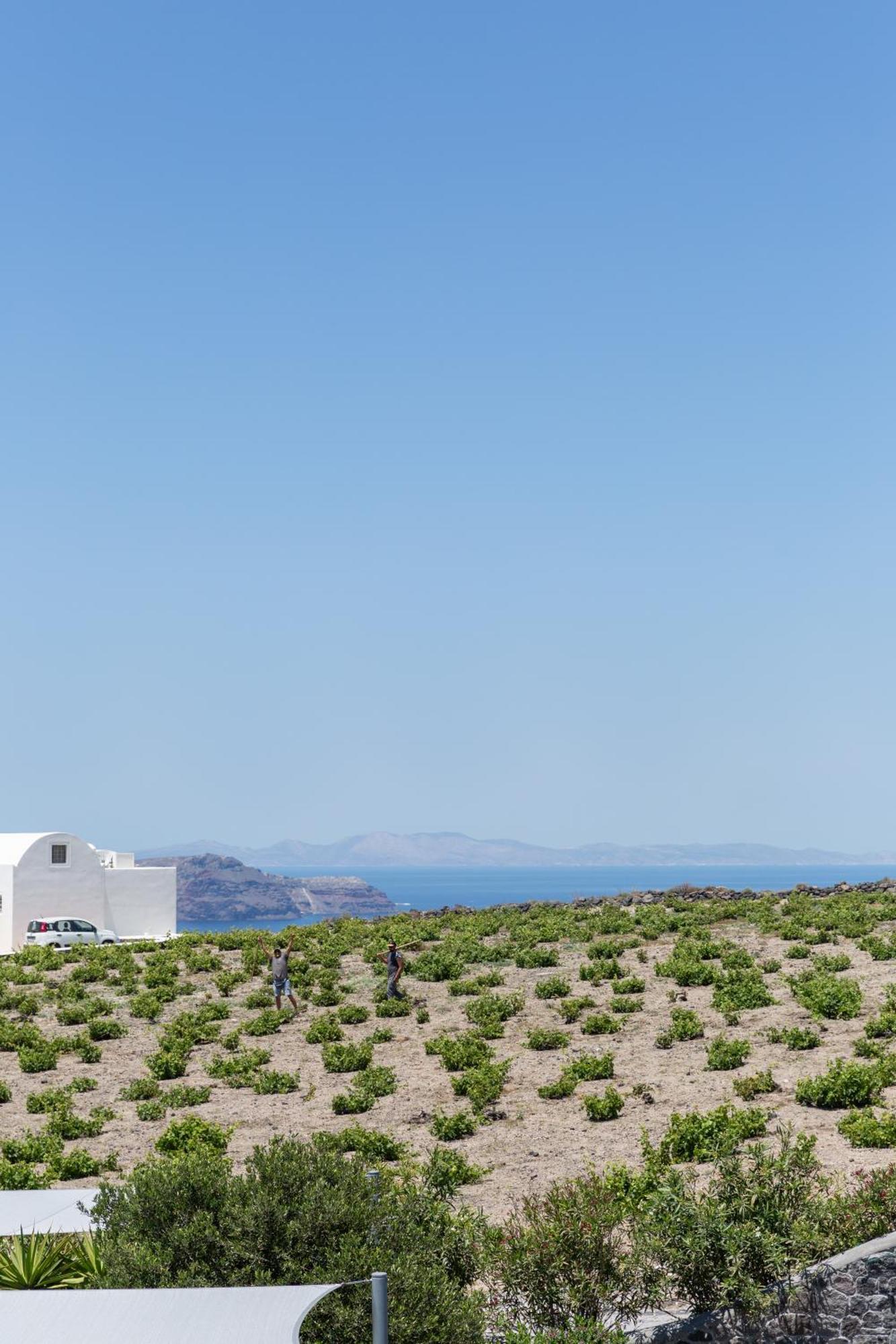 Soil Of Sun Luxury Villas Мегалохори Екстериор снимка